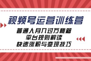 （12722期）视频号运营训练营：普通人月入过万秘籍，平台规则解读，快速涨粉与变现…-麦资源网