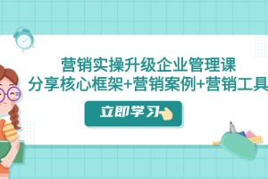 （7821期）营销实操升级·企业管理课：分享核心框架+营销案例+营销工具（课程+文档）-麦资源网