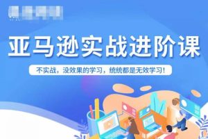 亚马逊FBA运营进阶课，不实战，没效果的学习，统统都是无效学习-麦资源网