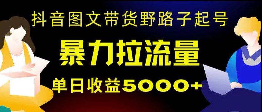 抖音图文带货*起号，单日收益5000+，野路子玩法，简单易上手，一部手机即可【揭秘】