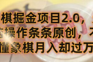 象棋掘金项目2.0，无脑操作条条原创，不懂象棋月入却过万【揭秘】-麦资源网