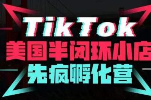 疯人院·TikTok美国半闭环小店孵化营，抢占TikTok美国蓝海市场，开店、运营、带货、投流全实操-麦资源网