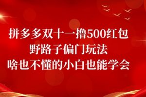 首发价值2980最新淘宝无货源不开车自然流超低成本截流玩法日入300+【揭秘】【1111更新】-麦资源网