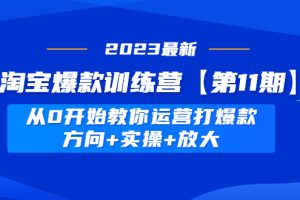 （4784期）淘宝爆款训练营【第11期】 从0开始教你运营打爆款，方向+实操+放大-麦资源网