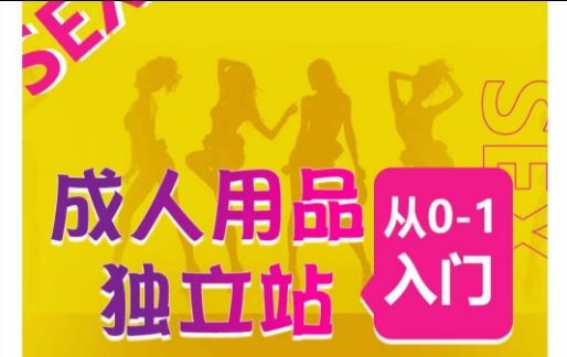 **站从0-1入门，成品*站运营全流程教学，七大好卖成品*站推荐