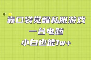 （7113期）靠口袋觉醒私服游戏，一台电脑，小白也能1w+（教程+工具+资料）-麦资源网