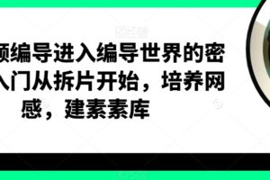 短视频编导进入编导世界的密钥，入门从拆片开始，培养网感，建素素库-麦资源网