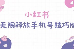 （9762期）小红书无限释放手机号技巧版手慢无-麦资源网