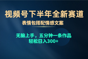 （10267期）视频号下半年全新赛道，表情包搭配情感文案 无脑上手，五分钟一条作品…-麦资源网