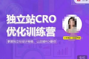 独立站CRO优化训练营，掌握独立站设计秘籍，打造高转化的独立站，让店铺ROI翻倍-麦资源网