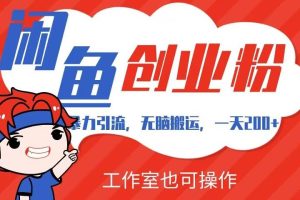 暴力引流，无脑搬运，闲鱼创业粉引流一天200+，可工作室操作全套教程详细步骤【揭秘】-麦资源网