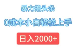（12068期）暴力撸头条，0成本小白轻松上手，日入2000+-麦资源网