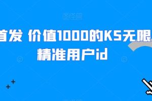 全网首发 价值1000的KS无限采集精准用户id-麦资源网