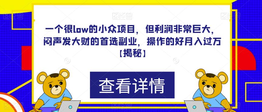 一个很low的小众项目，但利润非常巨大，闷声发大财的*副业，操作的好月入过万【揭秘】