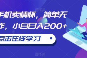 一部手机卖情怀，简单无脑操作，小白日入200+【揭秘】-麦资源网