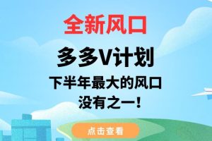 全新风口，多多V计划，下半年最大的风口项目，没有之一【揭秘】-麦资源网