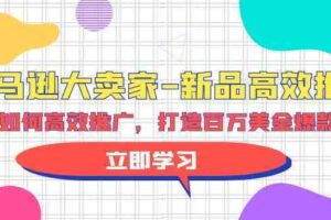亚马逊大卖家新品高效推广，分享如何高效推广，打造百万美金爆款单品-麦资源网