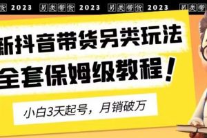 2023年最新抖音带货另类玩法，3天起号，月销破万（保姆级教程）【揭秘】-麦资源网