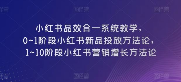 小红书品效合一系统教学，​0~1阶段小红书新品投放方*，​1~10阶段小红书营销增长方*