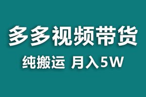 (7760期)【蓝海项目】多多视频带货,靠纯搬运一个月搞5w,新手小白也能操作【揭秘】-麦资源网