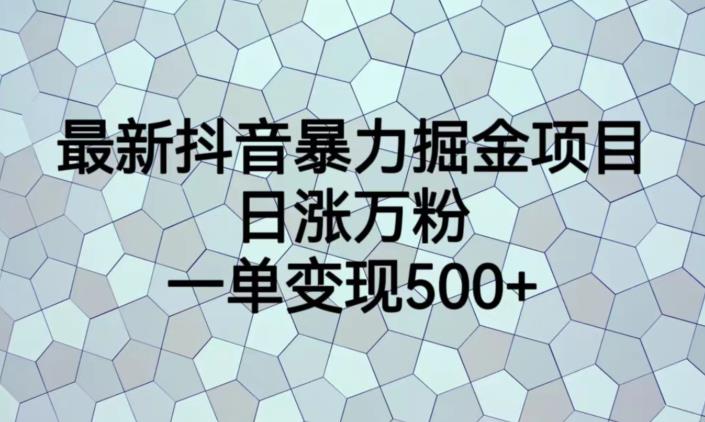 *抖音*掘金项目，日涨万粉，一单变现500+【揭秘】