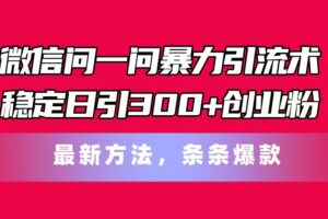 （11486期）微信问一问暴力引流术，稳定日引300+创业粉，最新方法，条条爆款-麦资源网