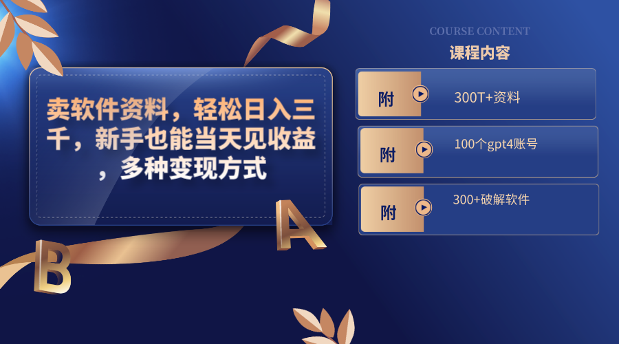 图片[1]-（8582期）卖软件资料，轻松日入三千，新手也能当天见收益，多种变现方式，（附300…