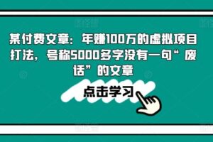 某付费文章：年赚100w的虚拟项目打法，号称5000多字没有一句“废话”的文章-麦资源网