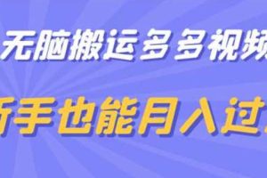 无脑搬运多多视频，新手也能月入过万【揭秘】-麦资源网