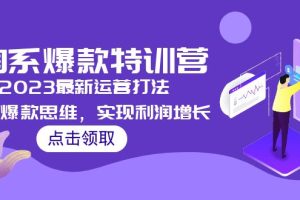 （5121期）2023淘系爆款特训营，2023最新运营打法，学习爆款思维，实现利润增长-麦资源网