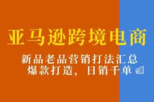 亚马逊跨境电商：新品老品营销打法汇总，爆款打造，日销千单-麦资源网
