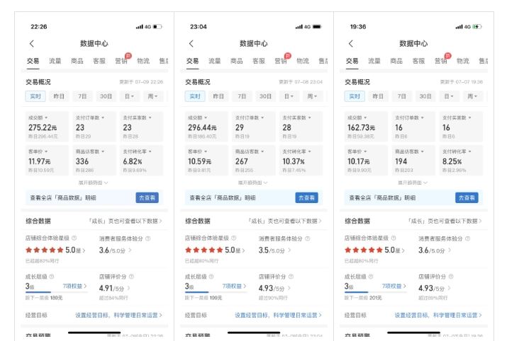 *拼多多虚拟电商项目，自动化无人*，单店月入3000，适合批量放大