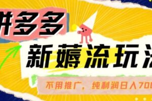 拼多多最新薅流玩法，无需开车推广，纯靠自然流吃饭-单纯赚50+利润，日入700+【揭秘】-麦资源网