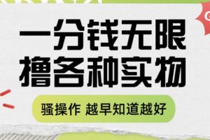 一分钱无限撸实物玩法，让你网购少花冤枉钱【揭秘】-麦资源网