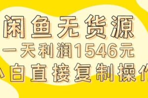 外面收2980的闲鱼无货源玩法实操一天利润1546元0成本入场含全套流程【揭秘】-麦资源网