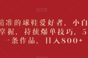 吸引精准的球鞋爱好者，小白也能轻松掌握，持续爆单技巧，5分钟一条作品，日入800+【揭秘】-麦资源网