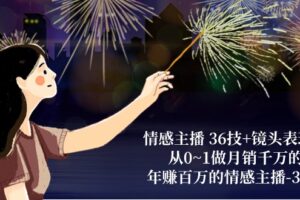 （10538期）情感主播 36技+镜头表现力：从0~1做月销千万的，年赚百万的情感主播-37节-麦资源网