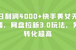 单日利润4000+快手美女无人挂播，网盘拉新3.0玩法，男粉转化超高【揭秘】-麦资源网