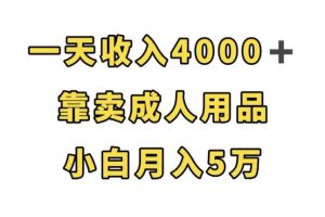 一天收入4000+,靠卖成人用品,小白轻松月入5万【揭秘】-麦资源网