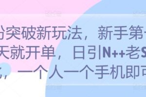 S粉突破新玩法，新手第一天就开单，日引N++老S批，一个人一个手机即可【揭秘】-麦资源网