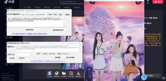 *电脑版抖音/快手/B站直播源获取+直播间实时录制+直播转播软件【全套软件+详细教程】