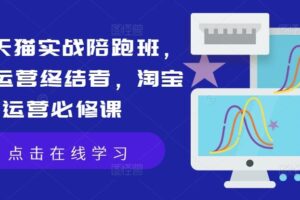 淘宝天猫实战陪跑班,店铺运营终结者,淘宝运营必修课-麦资源网