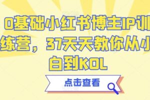 0基础小红书博主IP训练营，37天天教你从小白到KOL-麦资源网