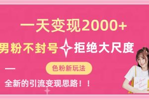 （7166期）一天收款2000元，男粉不封号拒绝大尺度-色粉全新的变现方法-麦资源网