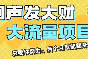 （11688期）闷声发大财，大流量项目，月收益过3万，只要你努力，两个月就能翻身-麦资源网