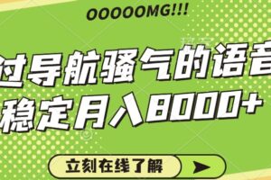 骚气的导航语音包，自用的同时还可以作为项目操作，月入8000+-麦资源网