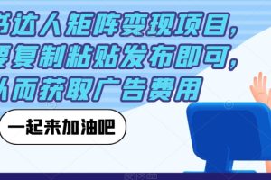 小红书达人矩阵变现项目,只需要复制粘贴发布即可,从而获取广告费用-麦资源网