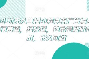 24小时无人直播小程序点广告掘金，冷门赛道，起好猛，独家最新防封技术，长久可做【揭秘】-麦资源网