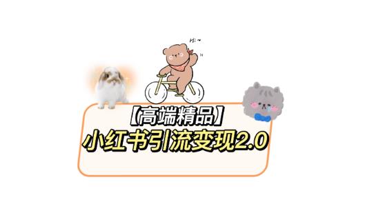 小红书*引流变现教程，*新最详细的视频教程以及素材