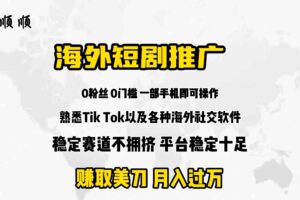 （9746期）海外短剧推广分佣-麦资源网